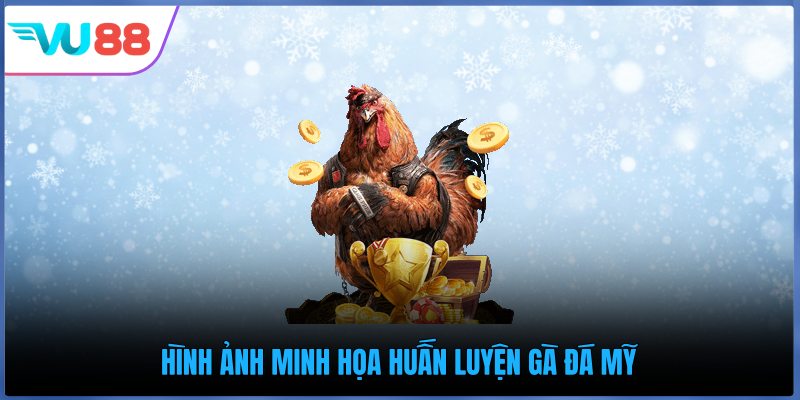 Hình ảnh minh họa huấn luyện gà đá Mỹ