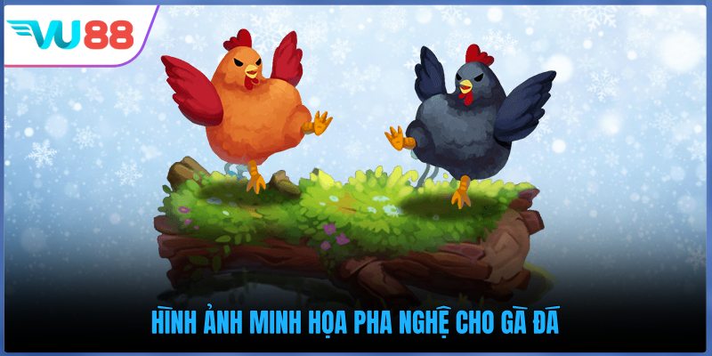 Hình ảnh minh họa pha nghệ cho gà đá