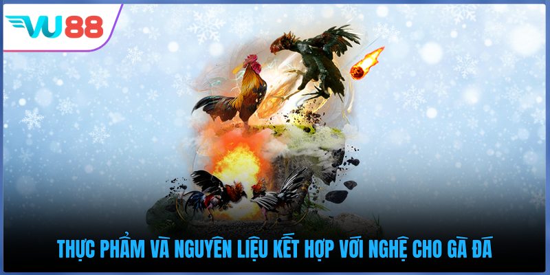 Thực phẩm và nguyên liệu kết hợp với nghệ cho gà đá